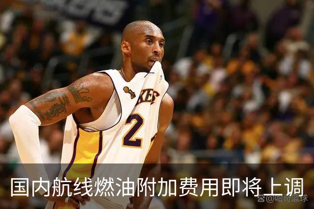 国内航线燃油附加费用即将上调